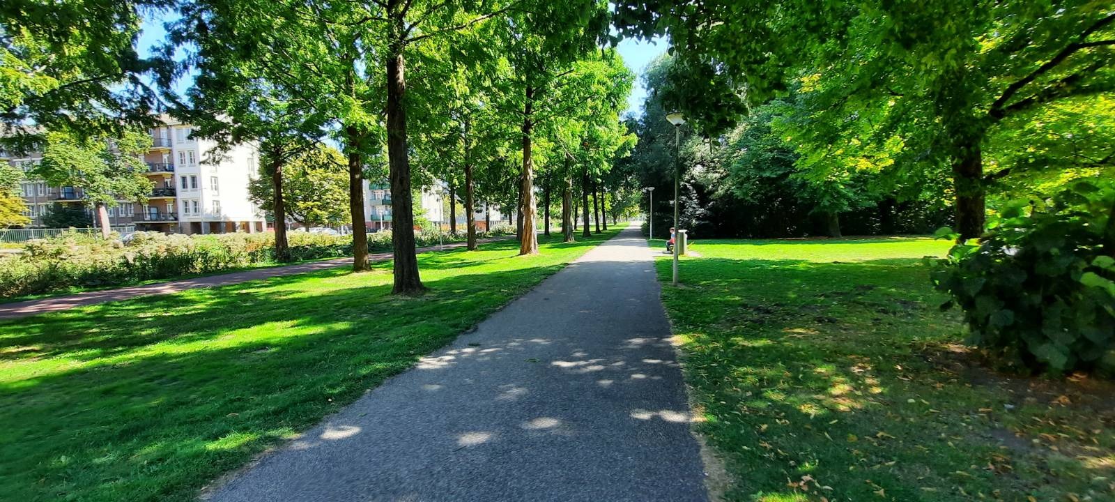 Amsterdam Rembrandpark