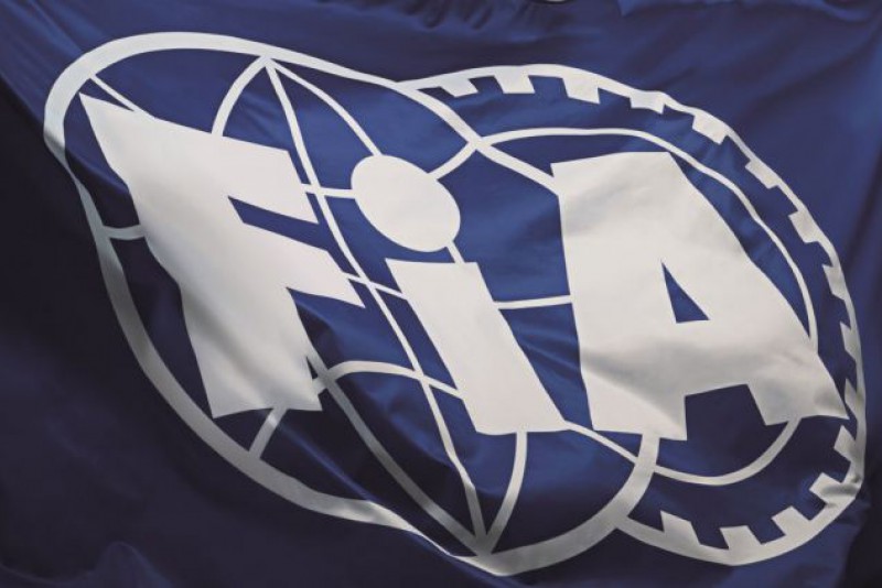 Międzynarodowa Federacja Samochodowa (FIA)